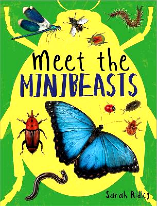 Wayland Meet the Minibeasts Sarah Ridley Wayland 2019 Hardback