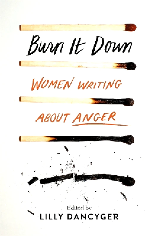 Seal Press Burn It Down: Women Writing about Anger Lilly Dancyger Seal Press 1210