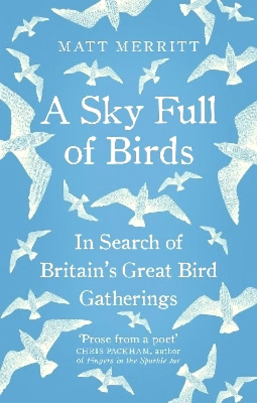 Rider & Co A Sky Full of Birds Matt Merritt Rider & Co