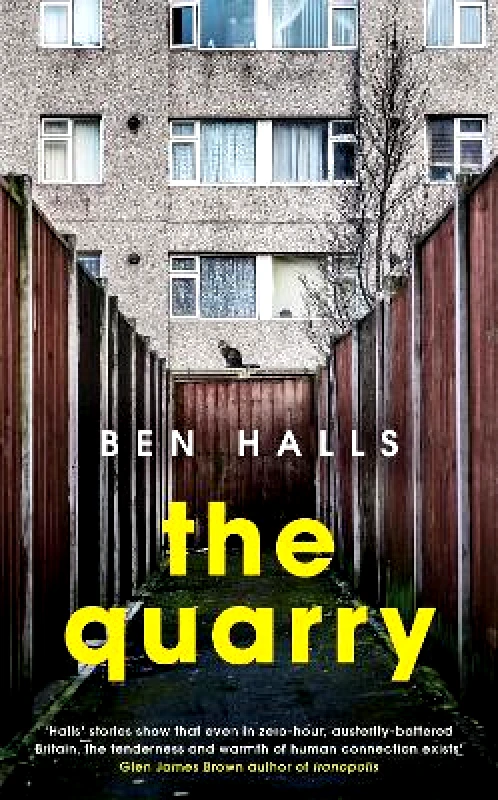 Dialogue Books The Quarry Ben Halls Dialogue Books 2021 Paperback / softback