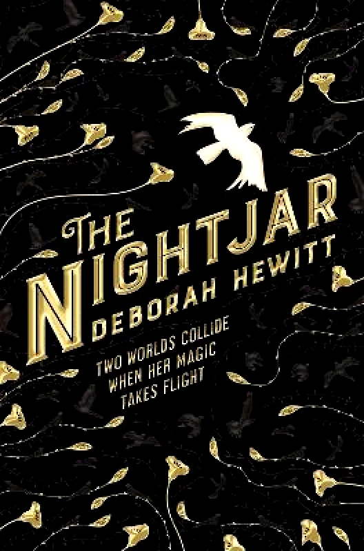 Pan Books The Nightjar Deborah Hewitt Pan Books 2019 Paperback / softback