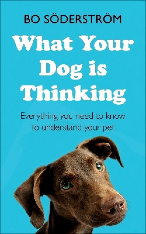 John Murray One What Your Dog Is Thinking: Everything you need to know to understand your pet Bo Soderstrom John Murray One 0916