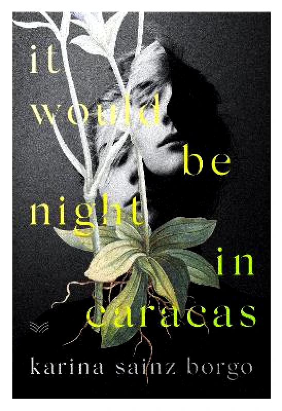 HarperVia It Would Be Night in Caracas Elizabeth Bryer HarperVia