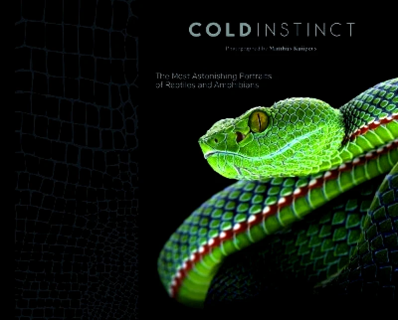 Skira Cold Instinct Matthijs Kuijpers Skira 0915