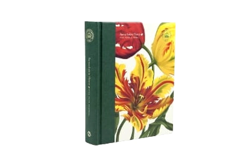 Thames & Hudson Ltd Remarkable Plants: Five-Year Journal The Royal Botanic Gardens, Kew Thames & Hudson Ltd 0901