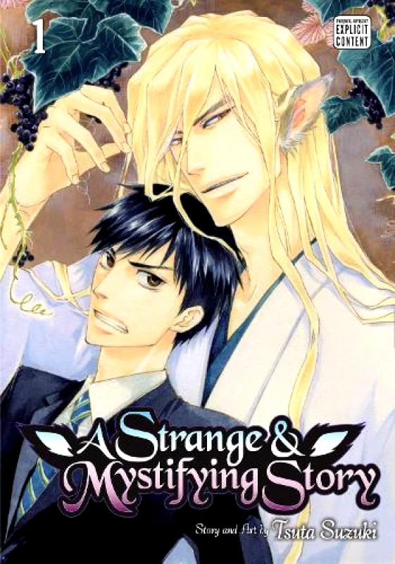 SuBLime A Strange & Mystifying Story, Vol. 1: Volume 1 Tsuta Suzuki SuBLime 1214