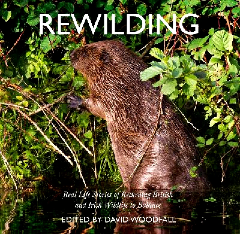William Collins Rewilding: Real Life Stories of Returning British and Irish Wildlife to Balance David Woodfall William Collins