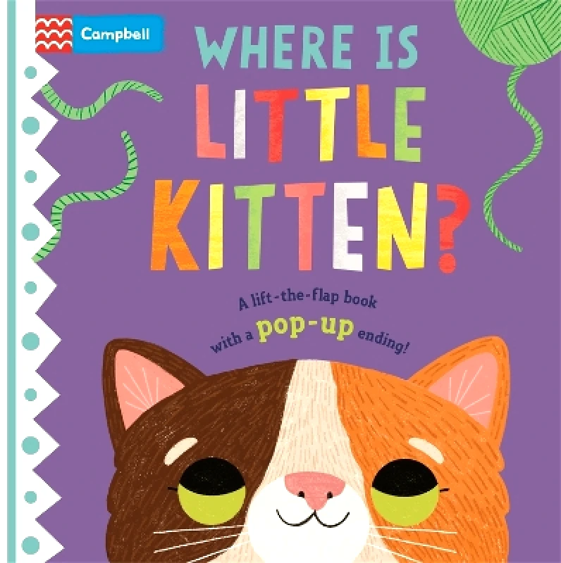 Campbell Books Ltd Where is Little Kitten?: The lift-the-flap book with a pop-up ending! Campbell Books Campbell Books Ltd 0613