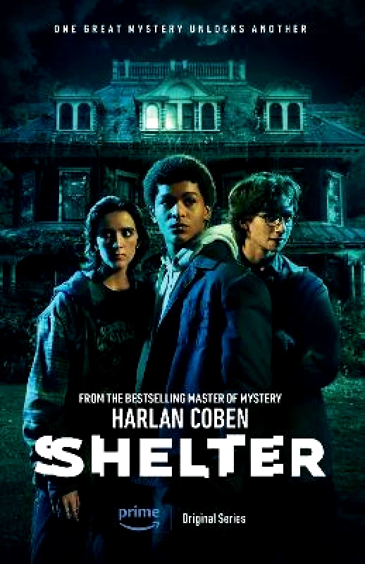 Orion Shelter: From the Number One bestselling creator of the hit Netflix series Missing You Harlan Coben Orion 1031