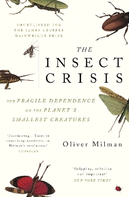 Atlantic Books The Insect Crisis: Our Fragile Dependence on the Planet's Smallest Creatures Oliver Milman Atlantic Books