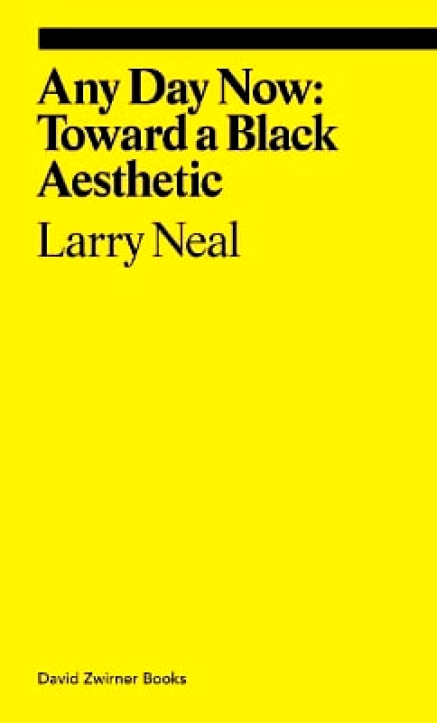 David Zwirner Any Day Now: Toward a Black Aesthetic Larry Neal David Zwirner 0605