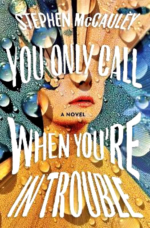 Henry Holt & Company Inc You Only Call When You're in Trouble Stephen McCauley Henry Holt & Company Inc 0430