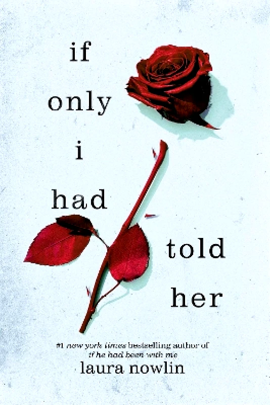 Sourcebooks Fire If Only I Had Told Her: The Instant #1 Sunday Times Bestseller Laura Nowlin Sourcebooks Fire