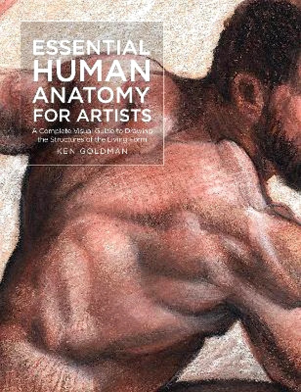 Rockport Publishers Inc. Essential Human Anatomy for Artists: A Complete Visual Guide to Drawing the Structures of the Living Form: Volume 9 Ken Goldman Rockport Publishers Inc. 1221