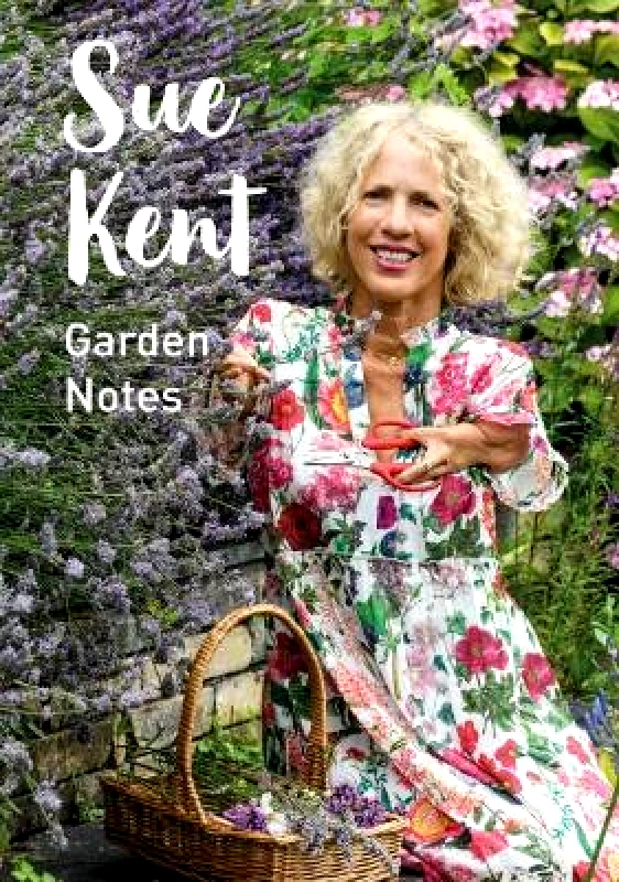 Graffeg Limited Sue Kent: Garden Notes Graffeg Limited