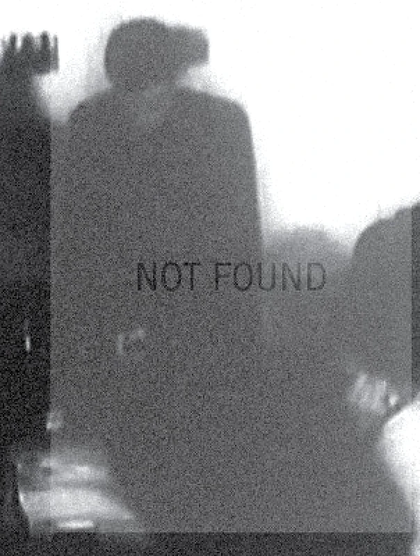MIT Press Perspecta 56: Not Found Gabriel Gutierrez Huerta MIT Press