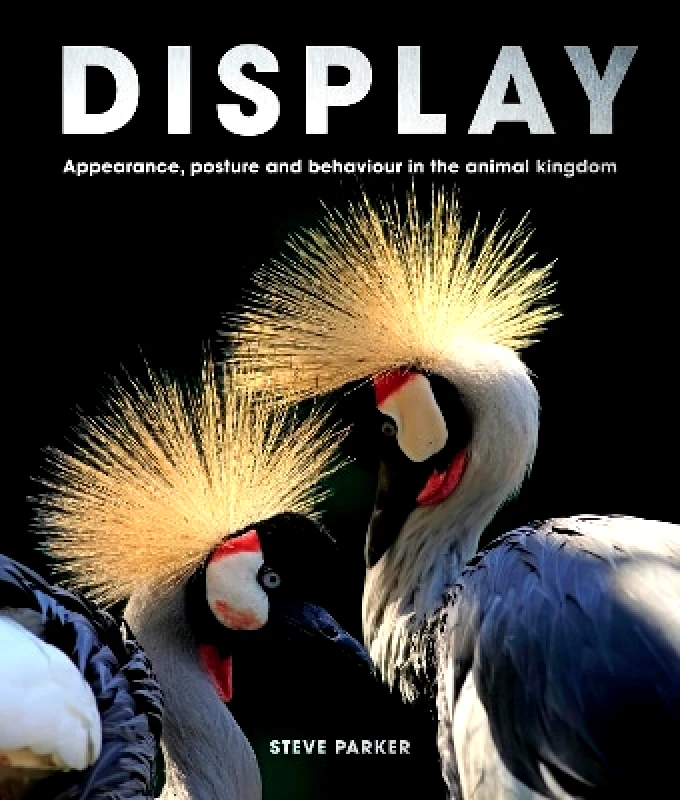 Ivy Press Display: Appearance, posture and behaviour in the animal kingdom Steve Parker Ivy Press 0105