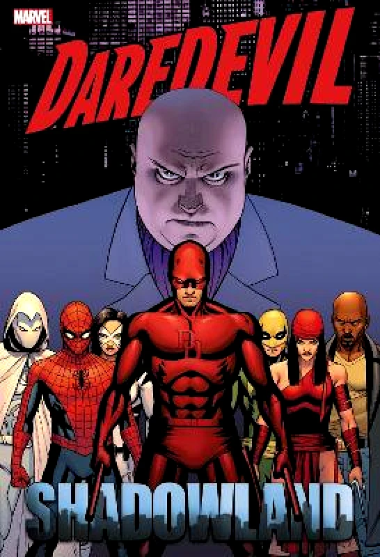 Marvel Comics Daredevil: Shadowland Omnibus Cassaday Cover (New Printing) Zeb Wells Marvel Comics