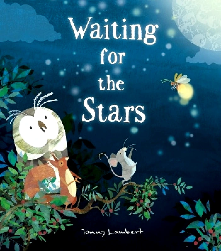 Little Tiger Press Waiting for the Stars Jonny Lambert Little Tiger Press