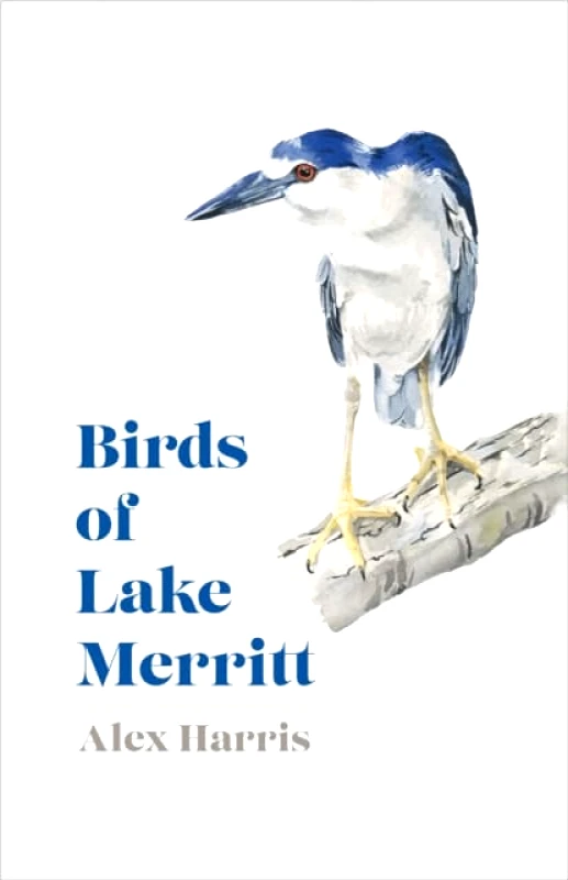 Heyday Books Birds of Lake Merritt Alex Harris Heyday Books 2021 Hardback
