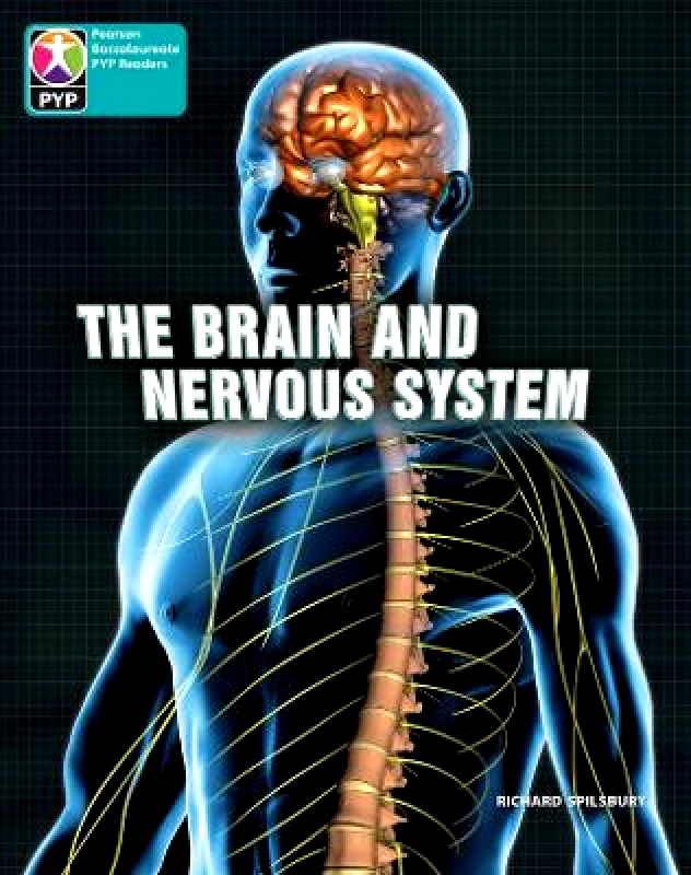 Heinemann PYP L10 Brain and nervous system 6PK Richard Spilsbury Heinemann