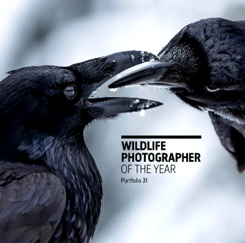 The Natural History Museum Wildlife Photographer of the Year: Portfolio 31 The Natural History Museum