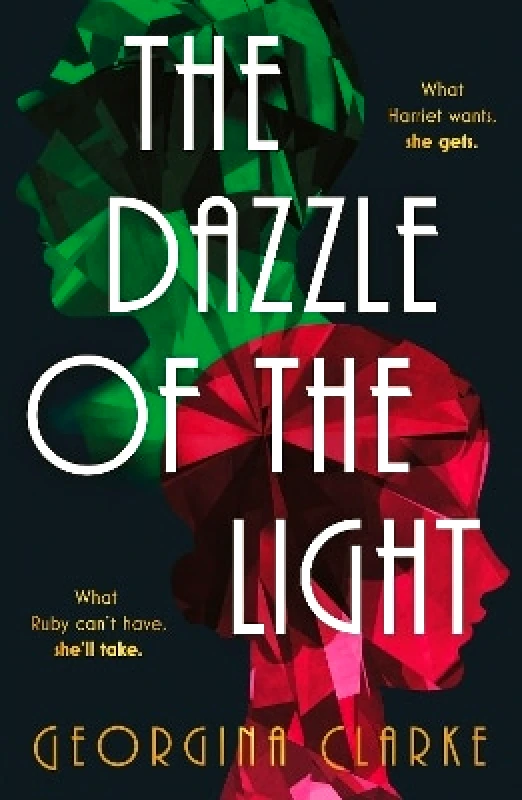 Verve Books The Dazzle of the Light Georgina Clarke Verve Books