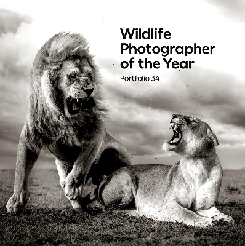 The Natural History Museum Wildlife Photographer of the Year: Portfolio 34 Natural History Museum The Natural History Museum 1010
