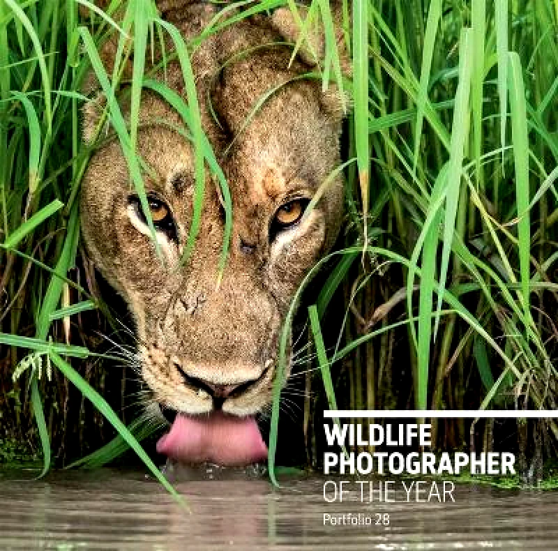 The Natural History Museum Wildlife Photographer of the Year: Portfolio 28 The Natural History Museum