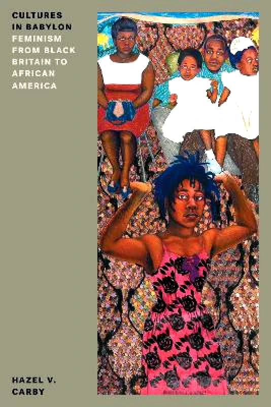 Verso Books Cultures in Babylon: Feminism from Black Britain to African America Hazel V Carby Verso Books 0604