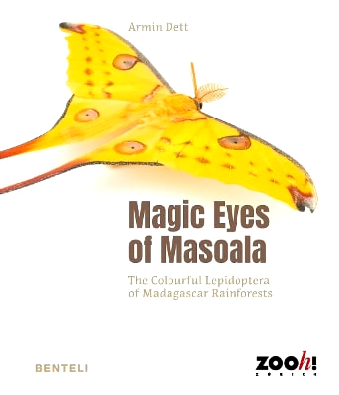 Benteli Verlag Magic Eyes of Masoala: The Colourful Lepidoptera of Madagascar Rainforests Armin Dett Benteli Verlag 0120