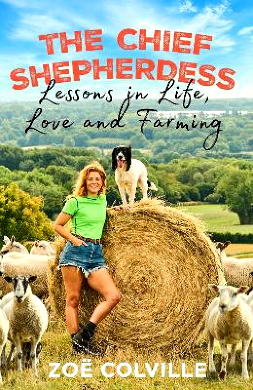 Bantam (Transworld) The Chief Shepherdess: Lessons in Life, Love and Farming Zoe Colville Bantam (Transworld)