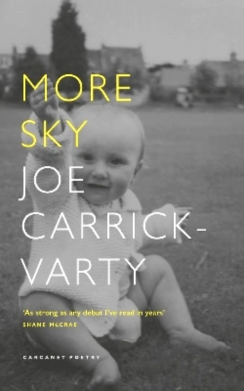 Carcanet Press Ltd More Sky Joe Carrick-Varty Carcanet Press Ltd