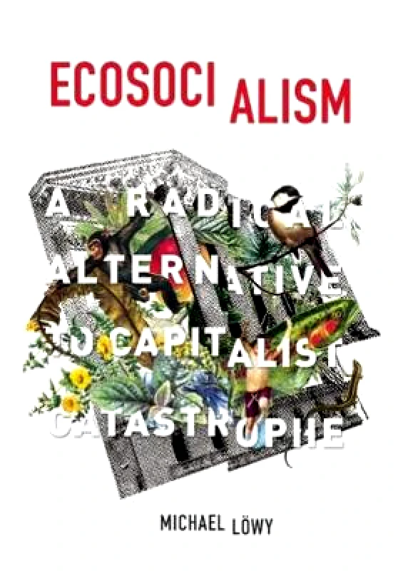 Haymarket Books Ecosocialism: A Radical Alternative to Capitalist Catastrophe Michael Lowy Haymarket Books Paperback / softback 2015