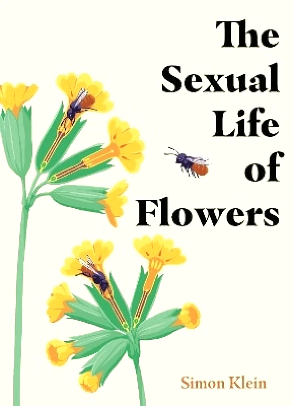 Greenfinch The Sexual Life of Flowers Simon Klein Greenfinch 0817