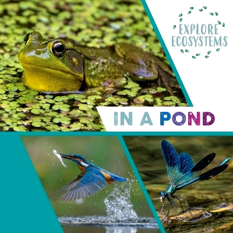 Explore Ecosystems: In a Pond Sarah Ridley Wayland 0214 φωτογραφία