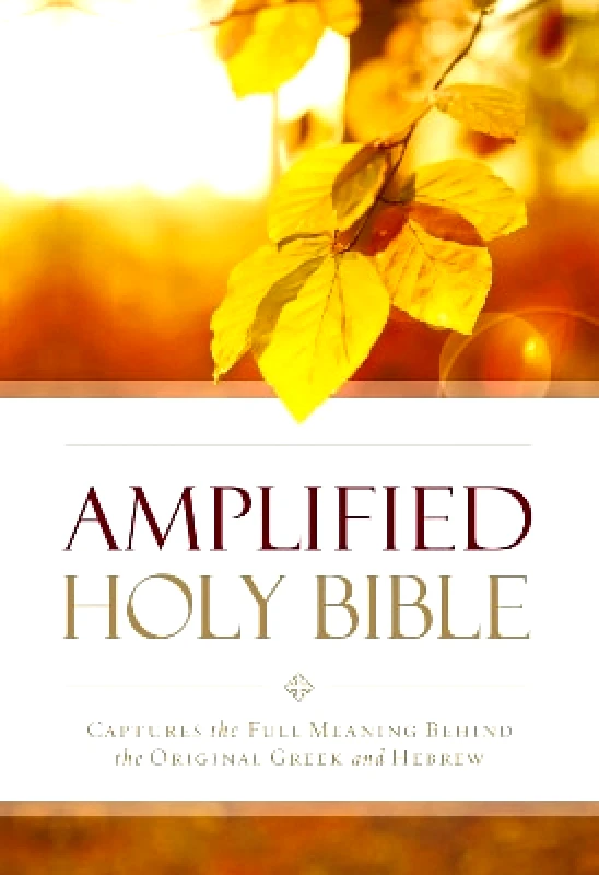 Zondervan Amplified Outreach Bible, Paperback: Capture the Full Meaning Behind the Original Greek and Hebrew Zondervan
