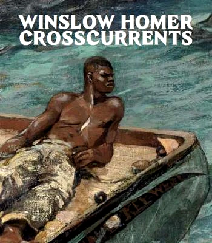 Metropolitan Museum of Art Winslow Homer: Crosscurrents Sylvia Yount Metropolitan Museum of Art 0603