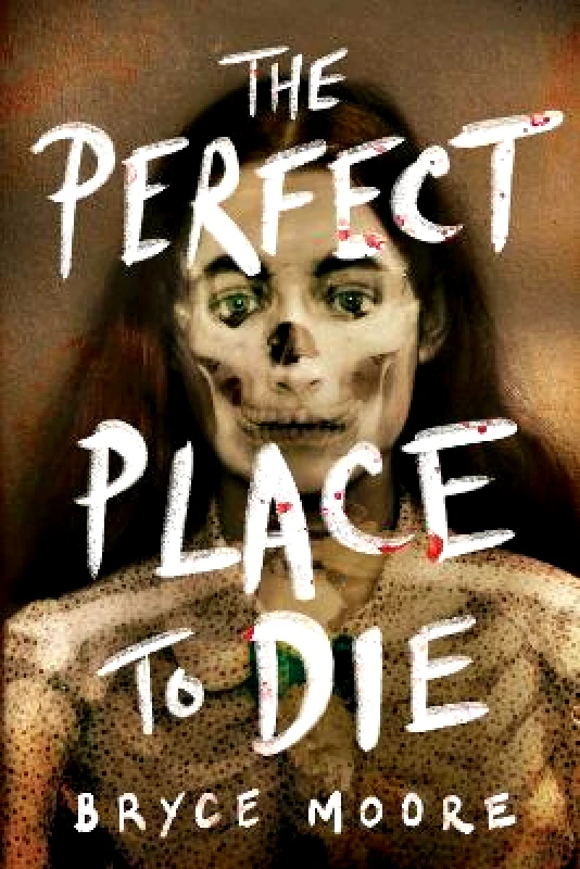 Sourcebooks Fire The Perfect Place to Die Bryce Moore Sourcebooks Fire 0903