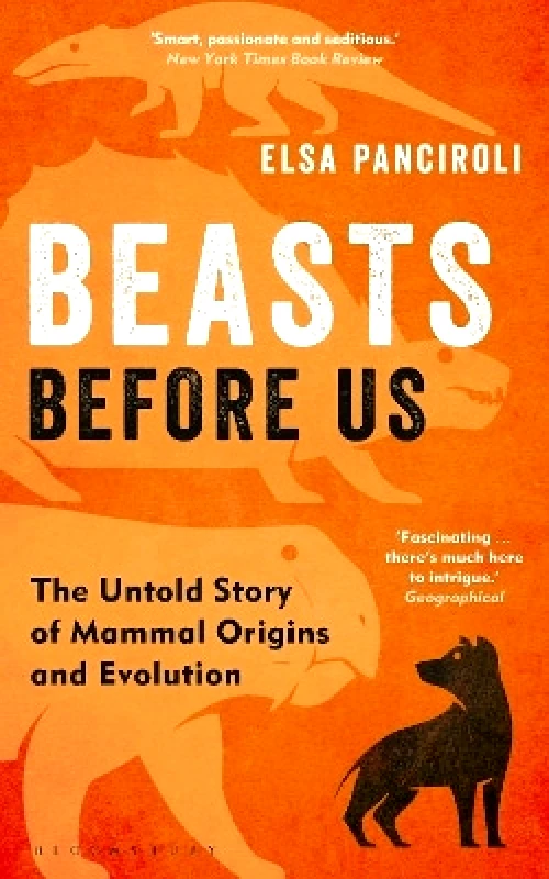 Bloomsbury Sigma Beasts Before Us: The Untold Story of Mammal Origins and Evolution Elsa Panciroli Bloomsbury Sigma 0502