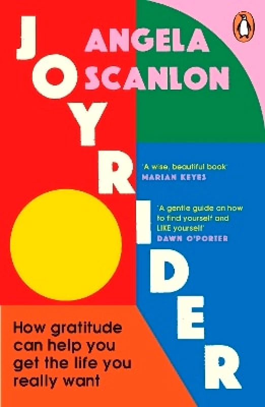 Vermilion Joyrider: How gratitude can help you get the life you really want Angela Scanlon Vermilion