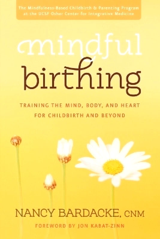 HarperOne Mindful Birthing Nancy Bardacke HarperOne