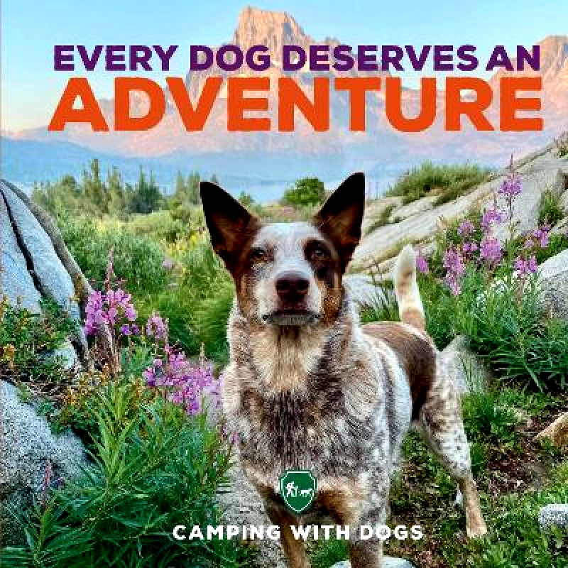 Epic Ink Books Every Dog Deserves an Adventure L. J. Tracosas Epic Ink Books 1012