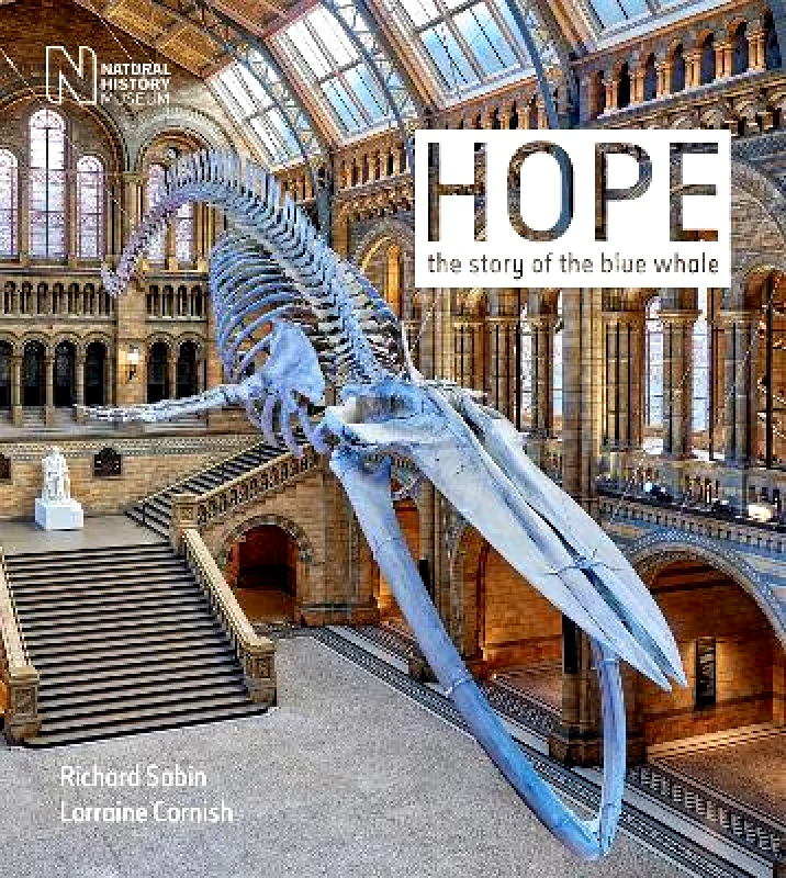 The Natural History Museum Hope: The story of the blue whale Lorraine Cornish The Natural History Museum