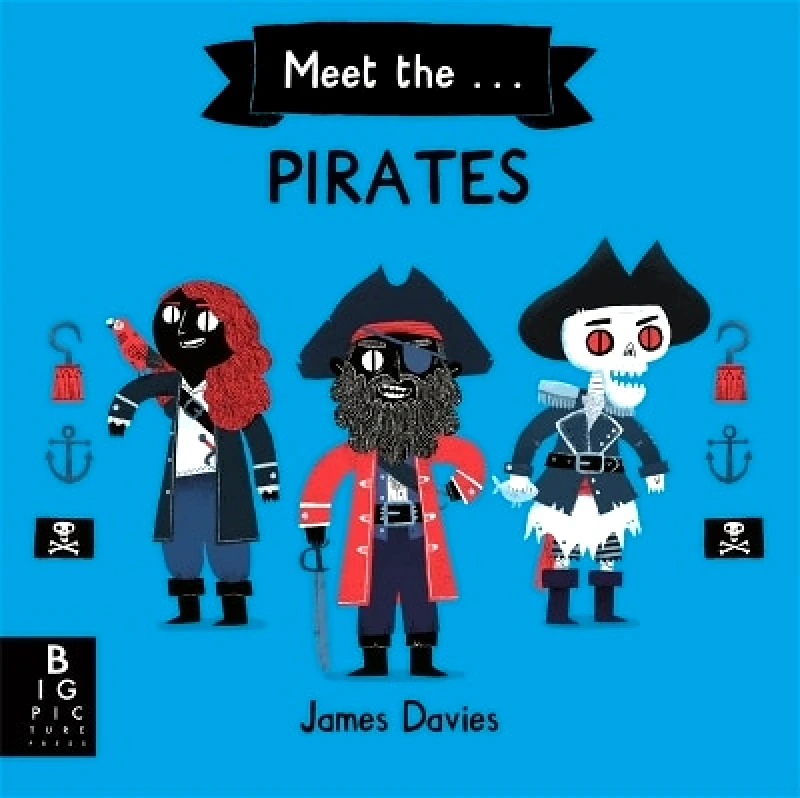 Big Picture Press Meet the Pirates James Davies Big Picture Press