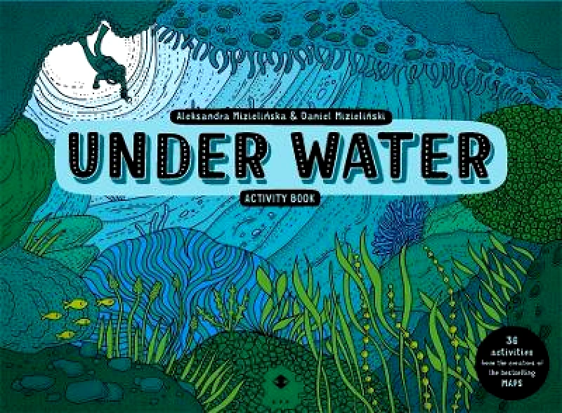 Big Picture Press Under Water Activity Book Aleksandra and Daniel Mizielinski Big Picture Press