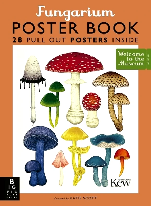 Big Picture Press Fungarium Poster Book Ester Gaya Big Picture Press