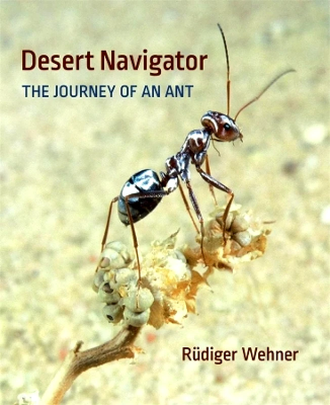 Harvard University Press Desert Navigator: The Journey of an Ant Rudiger Wehner Harvard University Press 0204