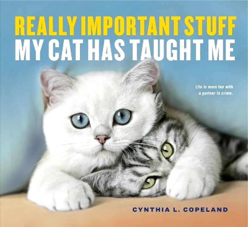 Workman Adult Really Important Stuff My Cat Has Taught Me Cynthia L. Copeland Workman Adult 1101