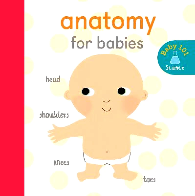 Little Tiger Kids Anatomy for Babies Jonathan Litton Little Tiger Kids